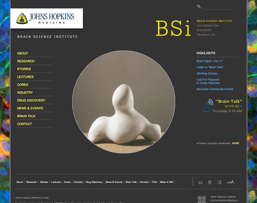 Brain Science Institute Website